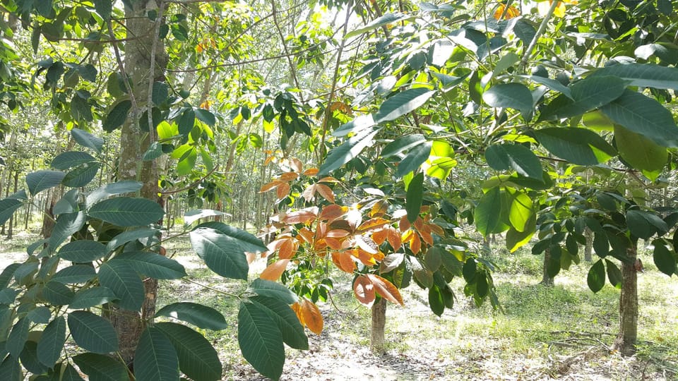 Pika farmstay (homestay) Apartment in Cambodia