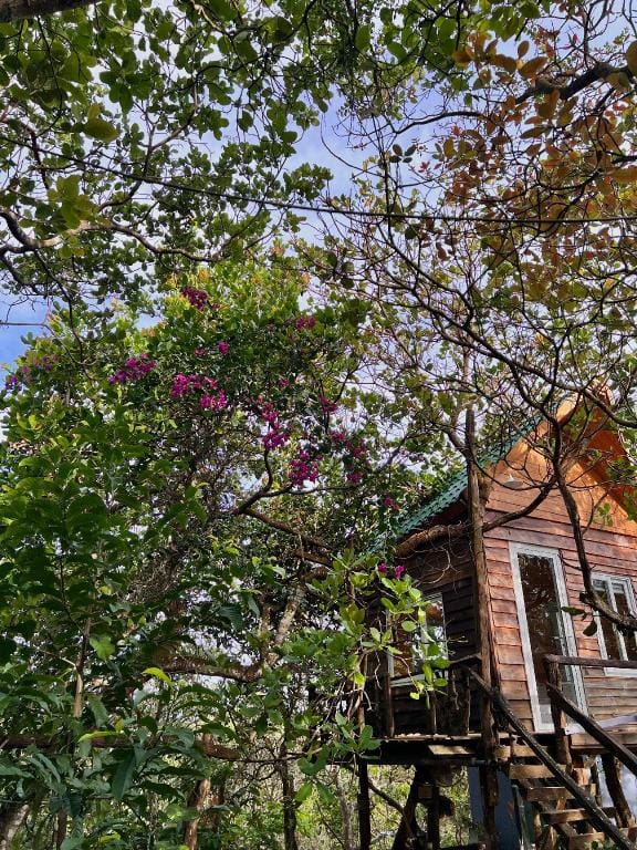 MeGarden Nhà vàng&Nhà cây Vacation rental in Lâm Đồng