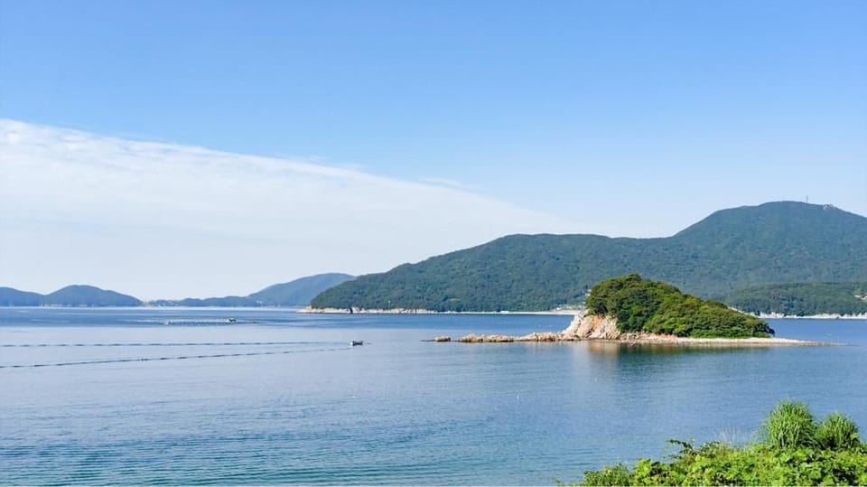 geoje mangyang pension Bed and Breakfast in South Korea