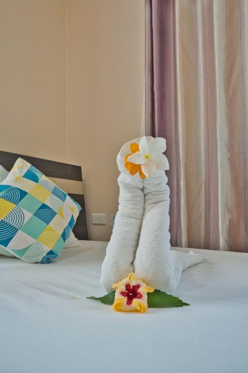 Stone Self Catering Apartment Apartment in Africa