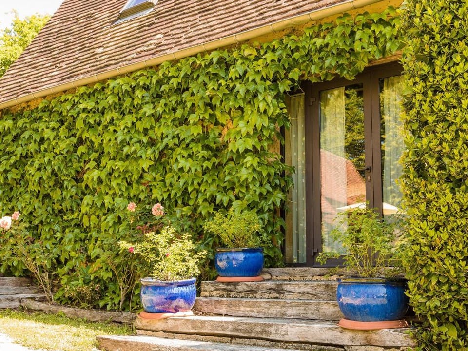 Holiday Home in Dordogne with Pool Vacation rental in Nouvelle-Aquitaine