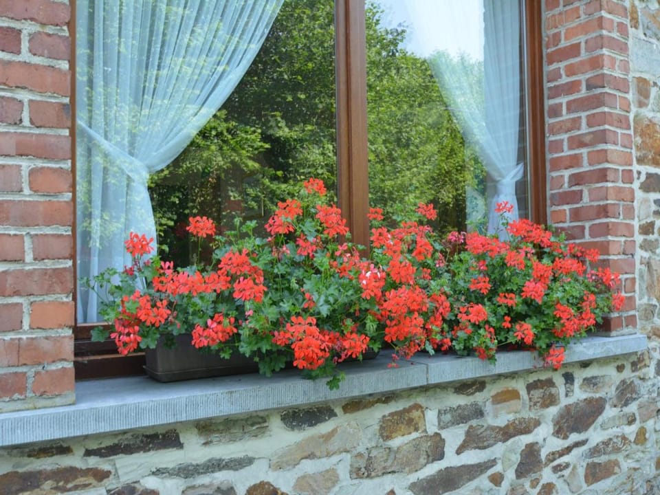 Spacious retreat, Daverdisse Vacation rental in Wallonia, Belgium