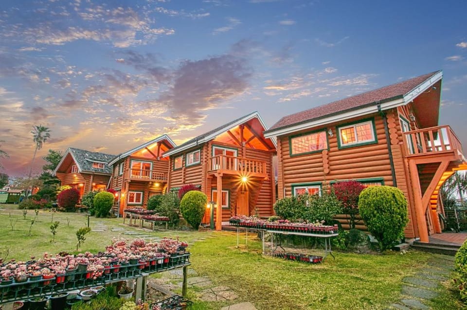 Seogwipo Neulbada Pet Pension Bed and Breakfast in South Korea