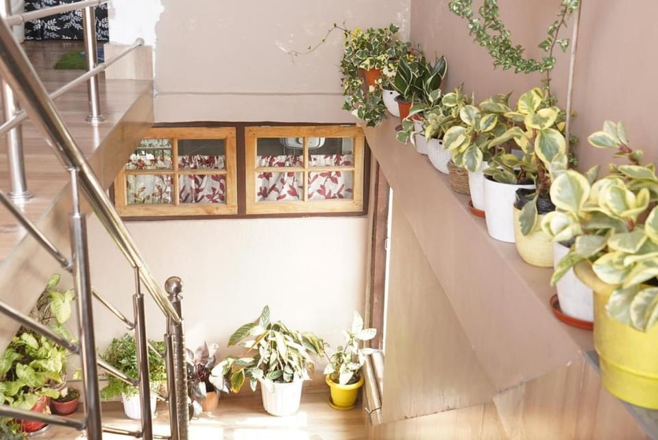 Bethany Homestay Vacation rental in West Bengal