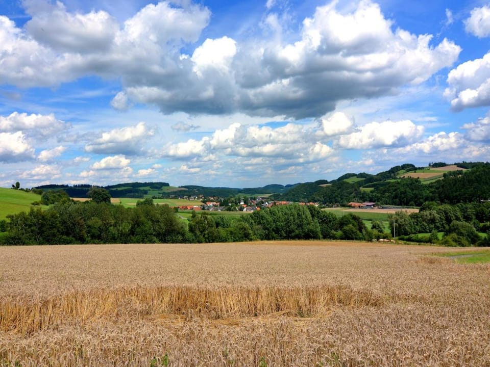 Naturrefugium bei Willingen Vacation rental in Medebach