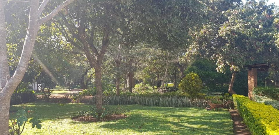 Barefoot Lodge and Safaris - Malawi Lodge in Zambia