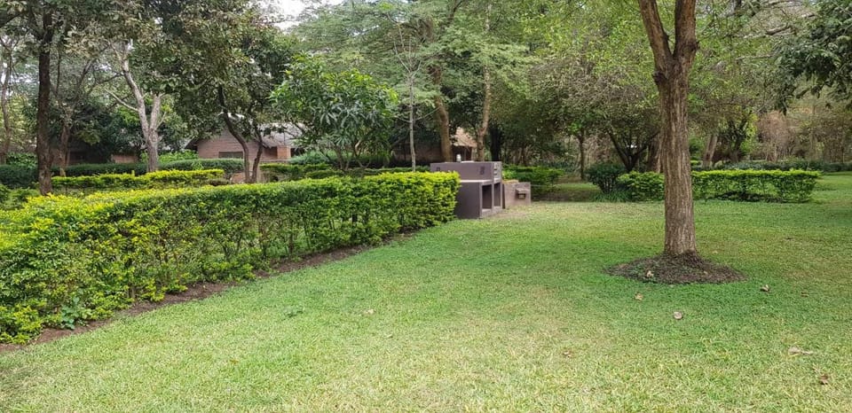 Barefoot Lodge and Safaris - Malawi Lodge in Zambia