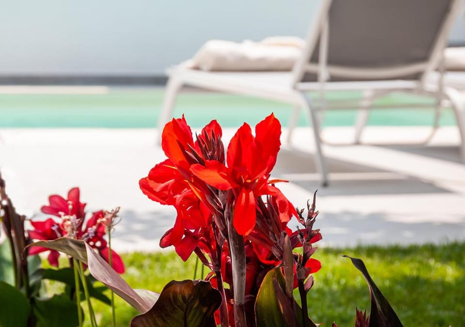 Epavli Boutique Hotel Hotel in Chania