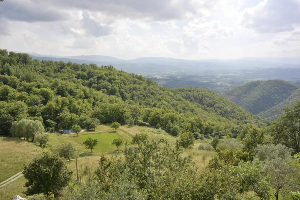Apartment the crocodile feel the nature Apartment in Emilia-Romagna