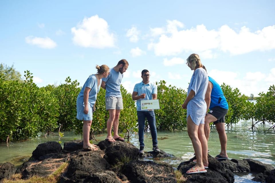 Lagoon Attitude (Adults Only) Resort in Rivière du Rempart District, Mauritius