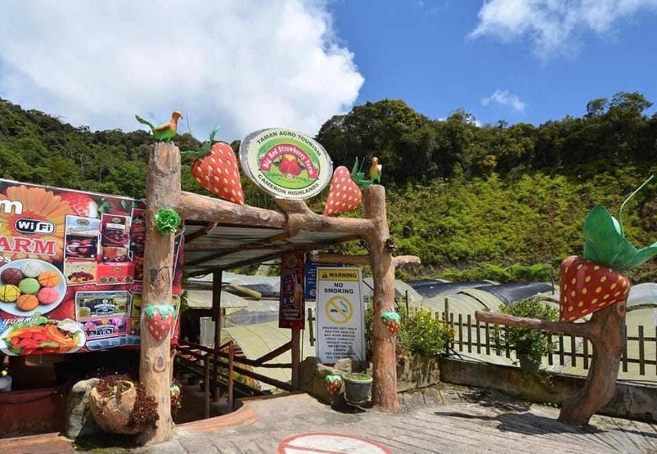 Little Sunshine Cactus Apartment  Apartment in Brinchang