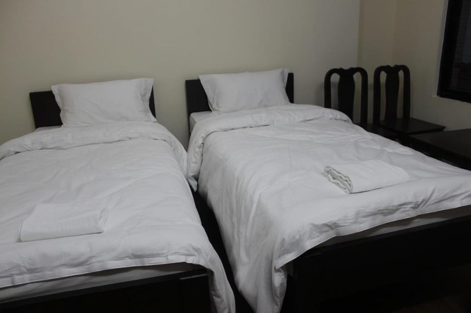 Bodhi Tree Hostel Vacation rental in Kathmandu