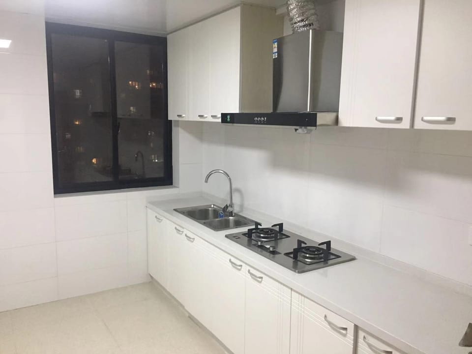 B-Century Ave Metro nearby+facing pearl tower flat Apartment in Shanghai