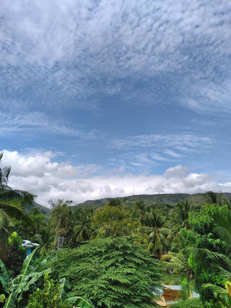 Azulea Family Deluxe 2 * own CR, hot shower,AC, TV Vacation rental in Oslob