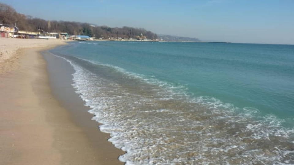 Artistic and cozy apartment in perfect location Apartment in Varna