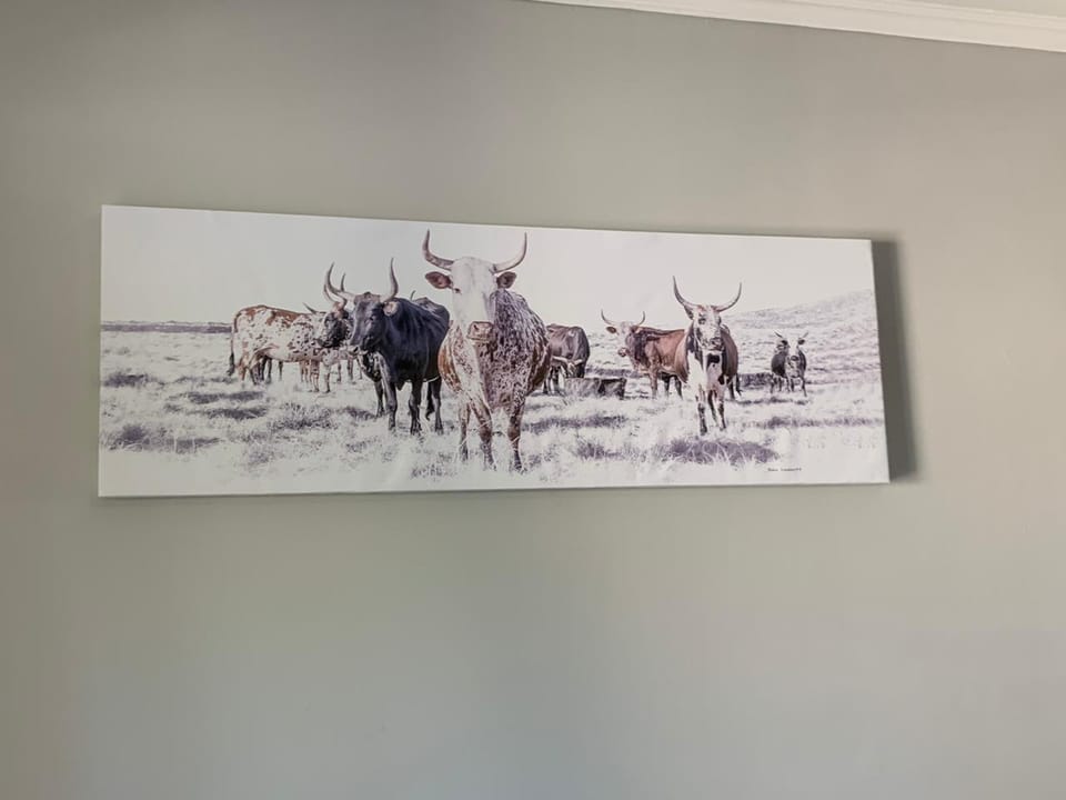 Phoenix Inn Apartment in Gauteng
