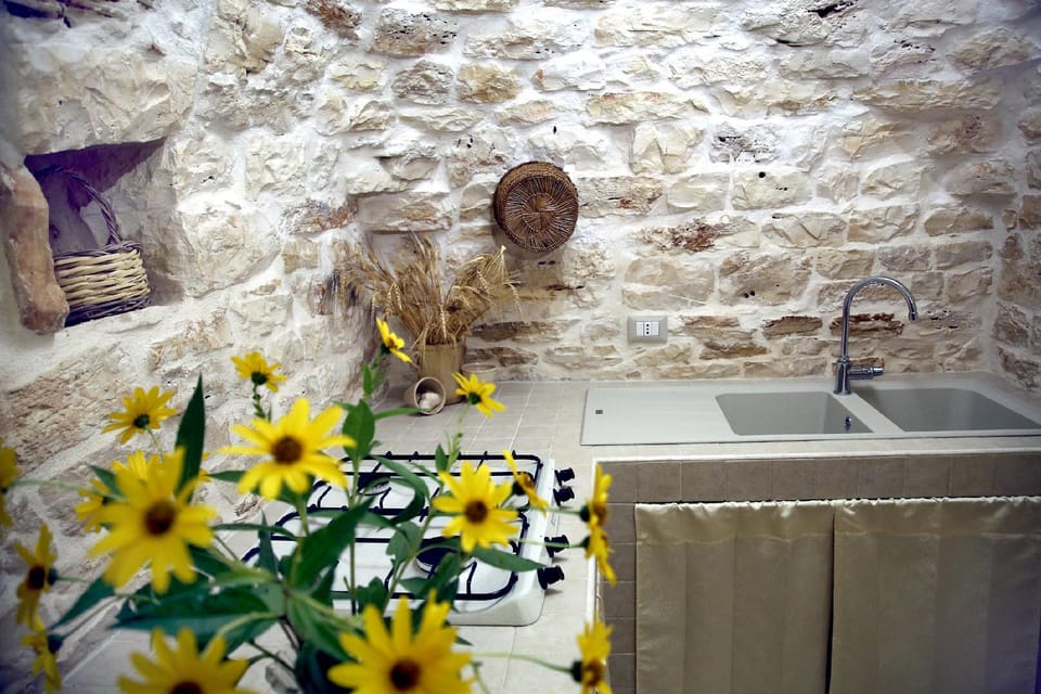 Trullo Madia with shared jacuzzi  Vacation rental in Province of Taranto