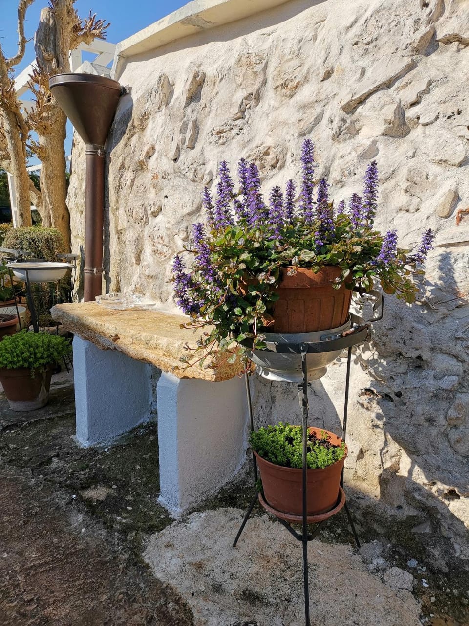 Dimora Giorgio with shared Jacuzzi Vacation rental in Province of Taranto