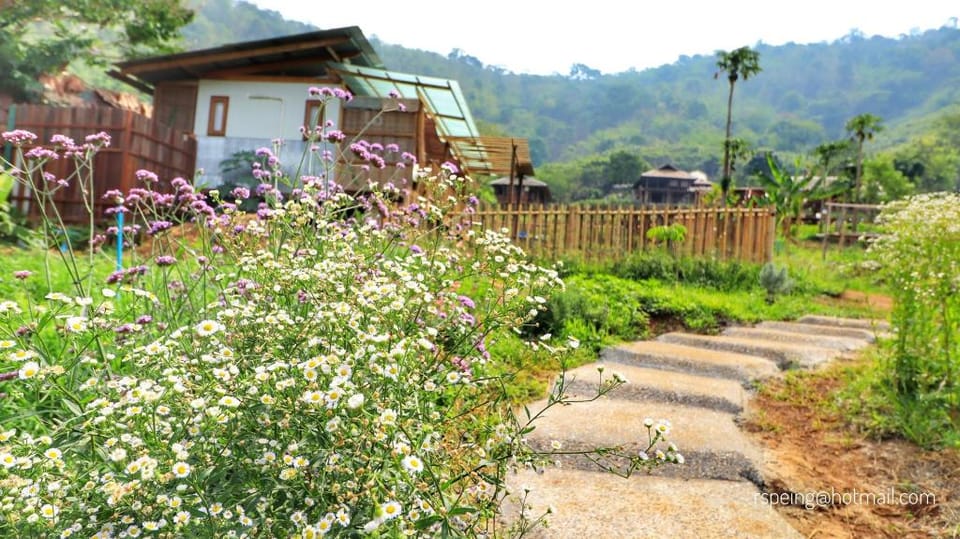 Mori Natural Farm Farm Stay in Thailand