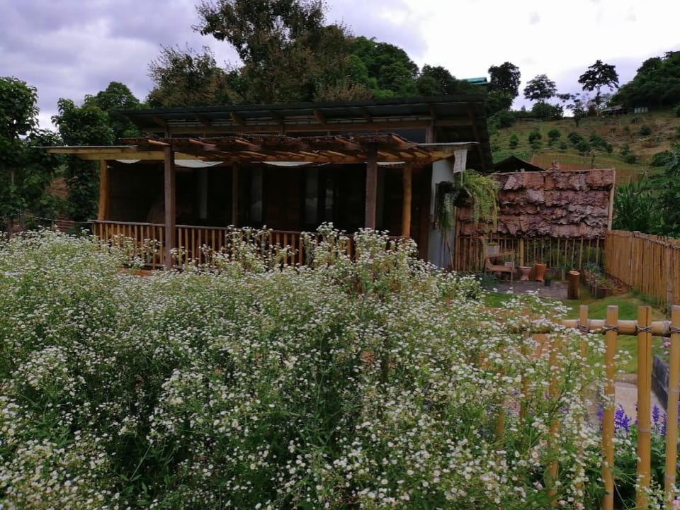 Mori Natural Farm Farm Stay in Thailand