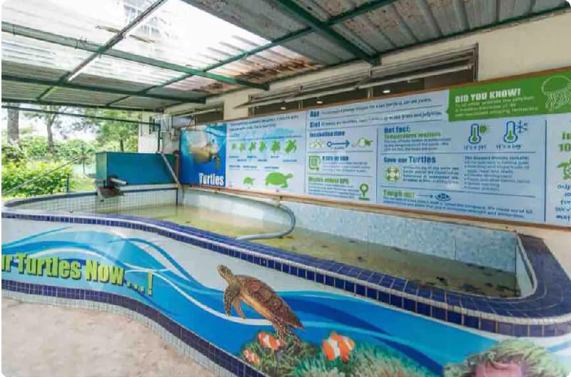 1-6 Pax Glory Beach Resort Seaview Apartment Apartment in Port Dickson