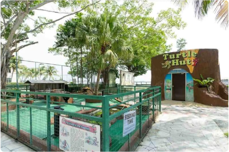 1-6 Pax Glory Beach Resort Seaview Apartment Apartment in Port Dickson