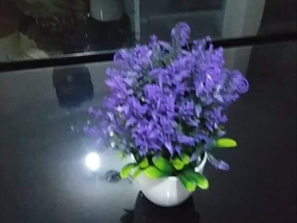 1BED   Camella  Condominium w/free WiFi&cable tv  Apartment in Davao City