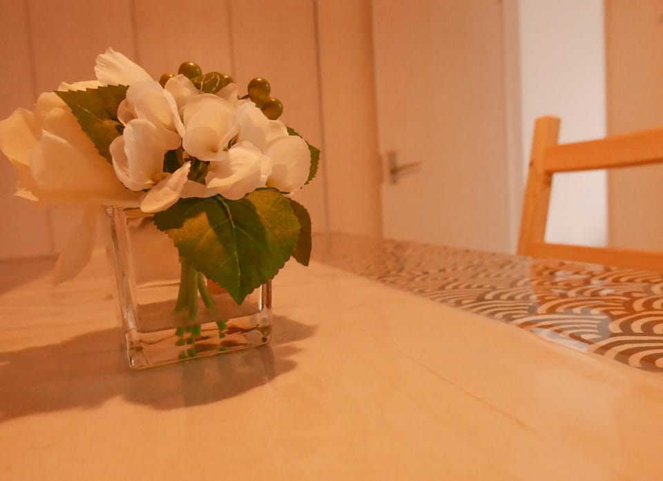 Homie Inn Vacation rental in Osaka