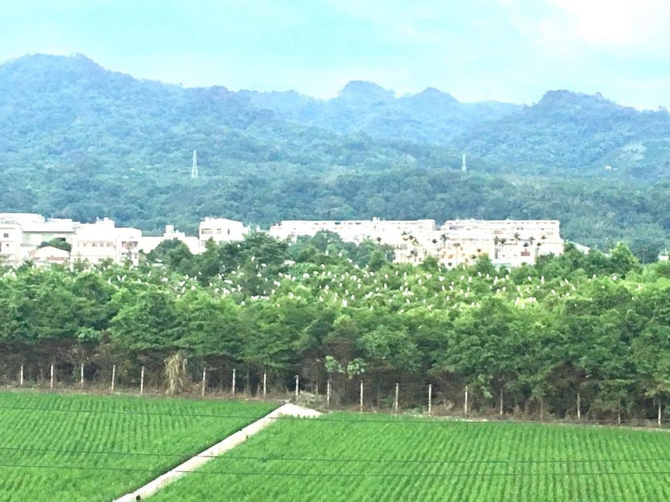 Martin Home Villa in Fujian