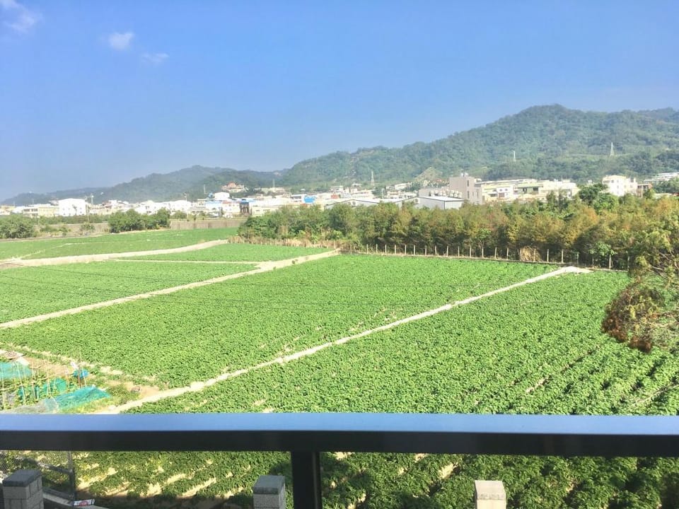 Martin Home Villa in Fujian
