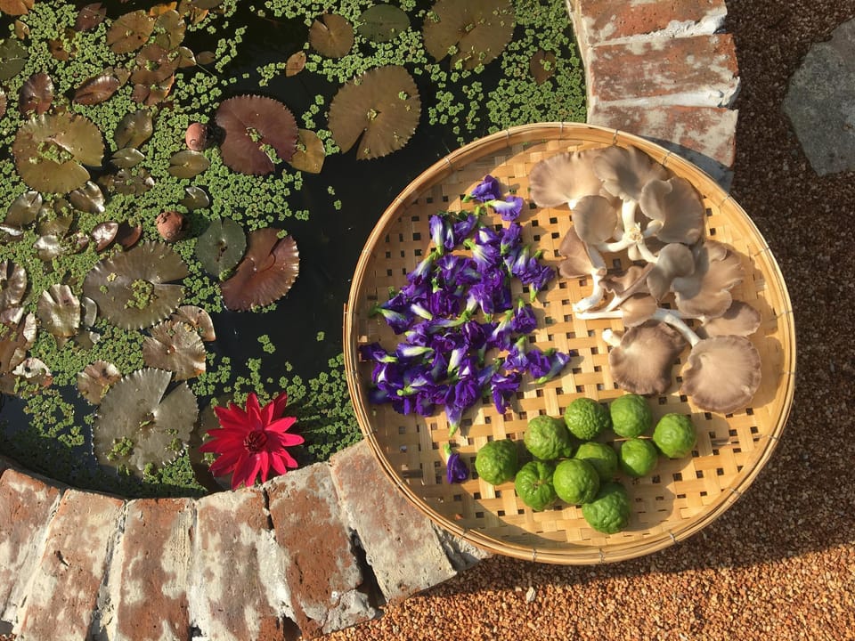 Baan Mali Homestay Lampang Villa in Thailand