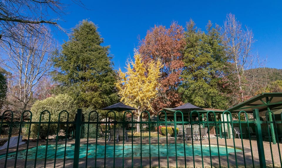 The Birch House Luxury Accommodation Bright  Vacation rental in Porepunkah