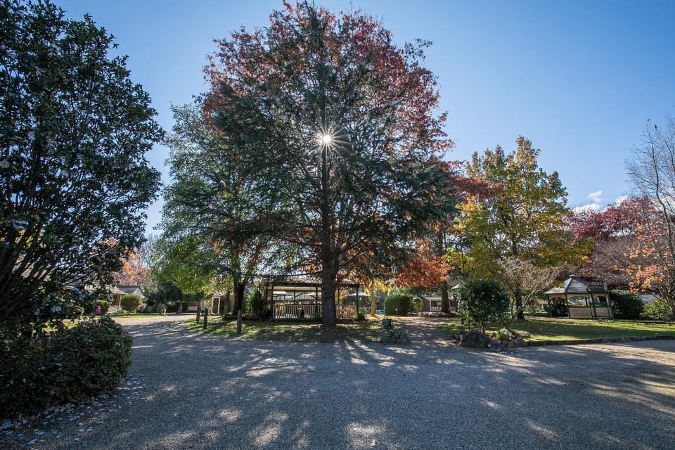 The Birch House Luxury Accommodation Bright  Vacation rental in Porepunkah