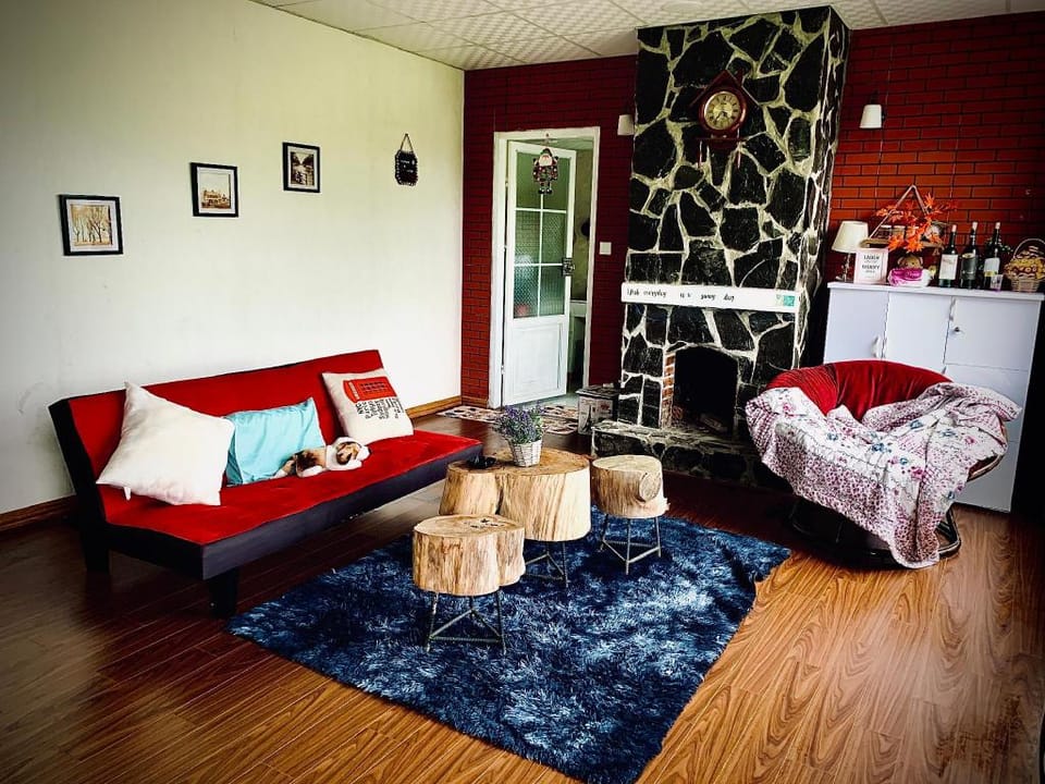 Full house with pine forest view (for 2-8 members) Vacation rental in Dalat