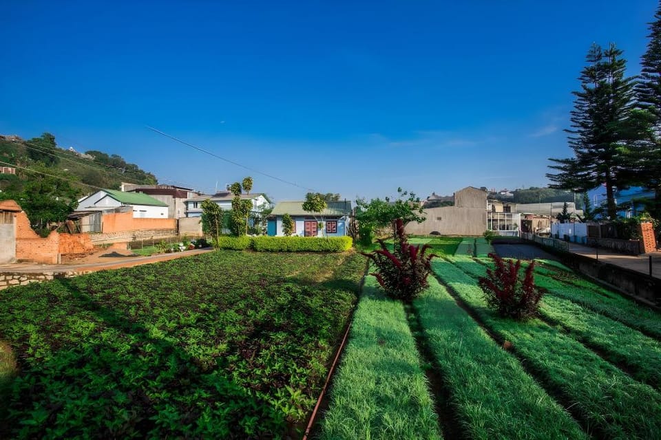 Dalat chocolate homestay Vacation rental in Dalat