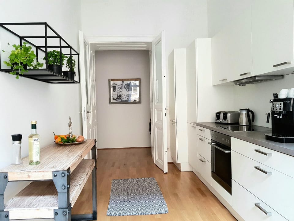 Belle Epoque - XXL Design Apartment Apartment in Vienna