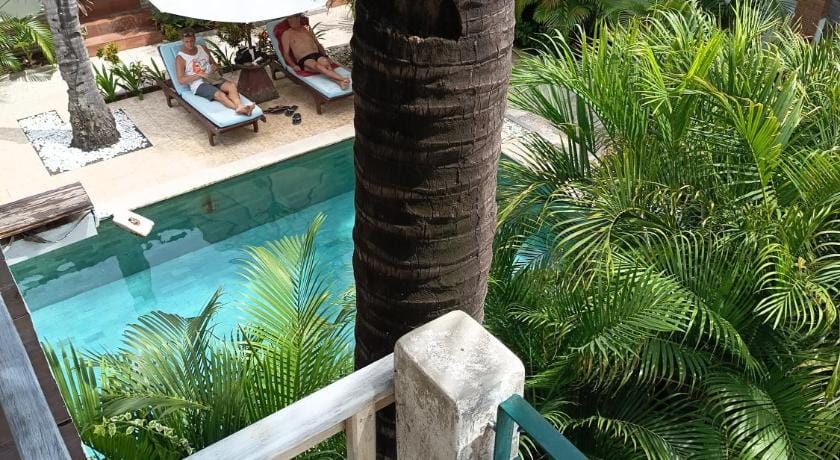 White Coconut Resort Hotel in Pemenang