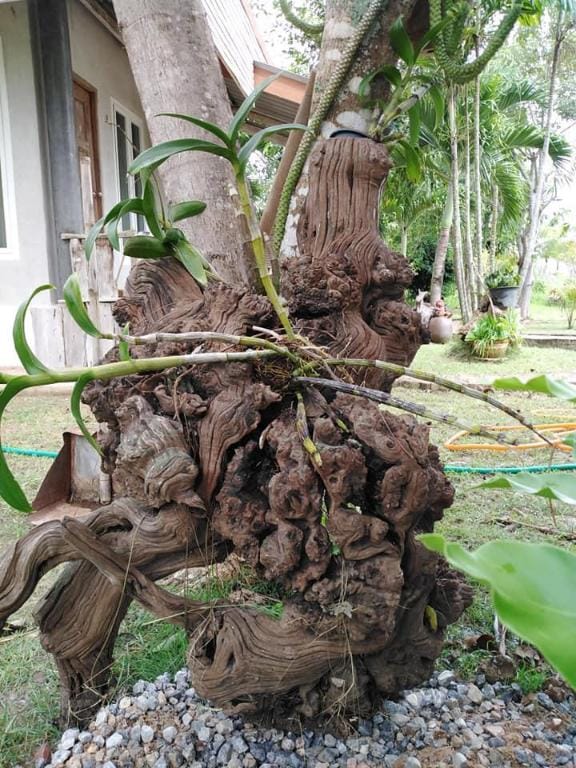 Khunyaikiew homestay Vacation rental in Hua Hin District