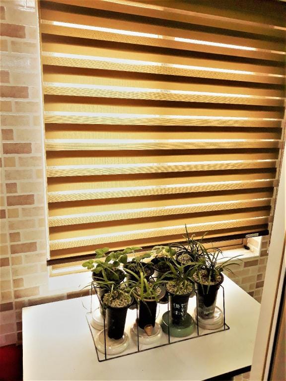 BUSAN.ST WLB GUEST HOUSE Whole Space(4-8 guests) Vacation rental in Busan