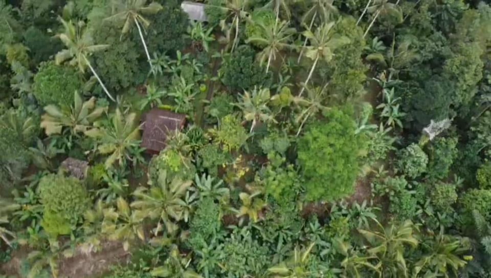 Bali forest cabin Villa in East Selemadeg