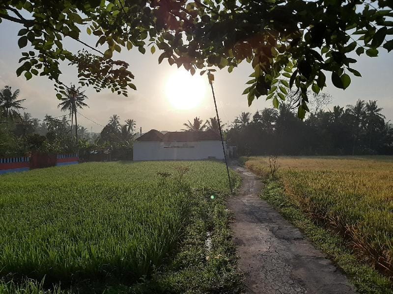 one bedroom private villa in the rice field area Villa in Bali