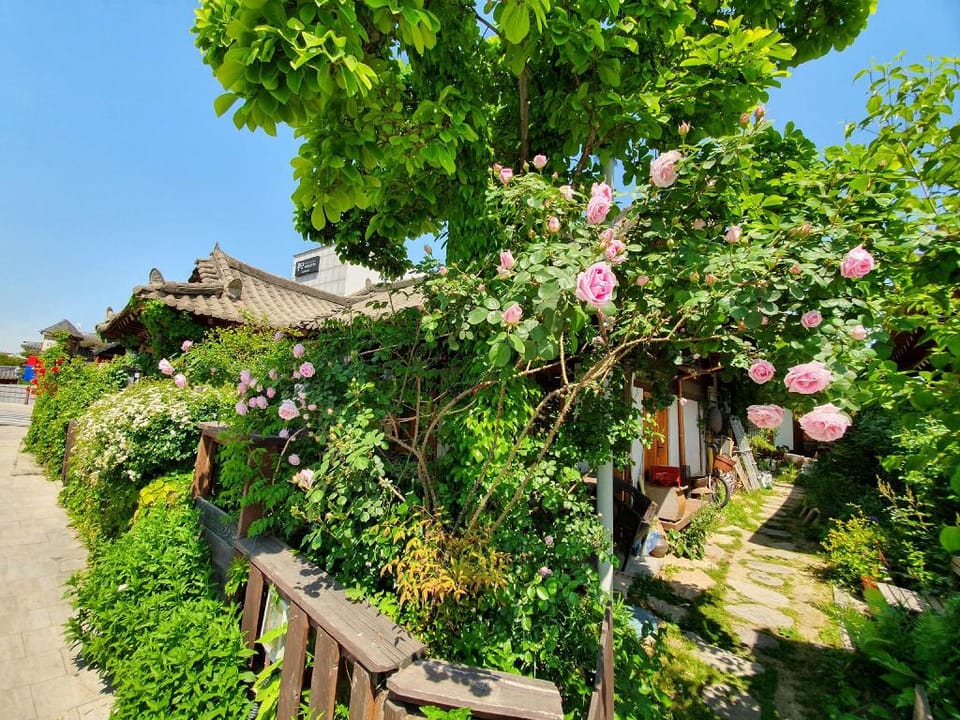 Gyodong Salrae Guesthouse Bed and Breakfast in South Korea