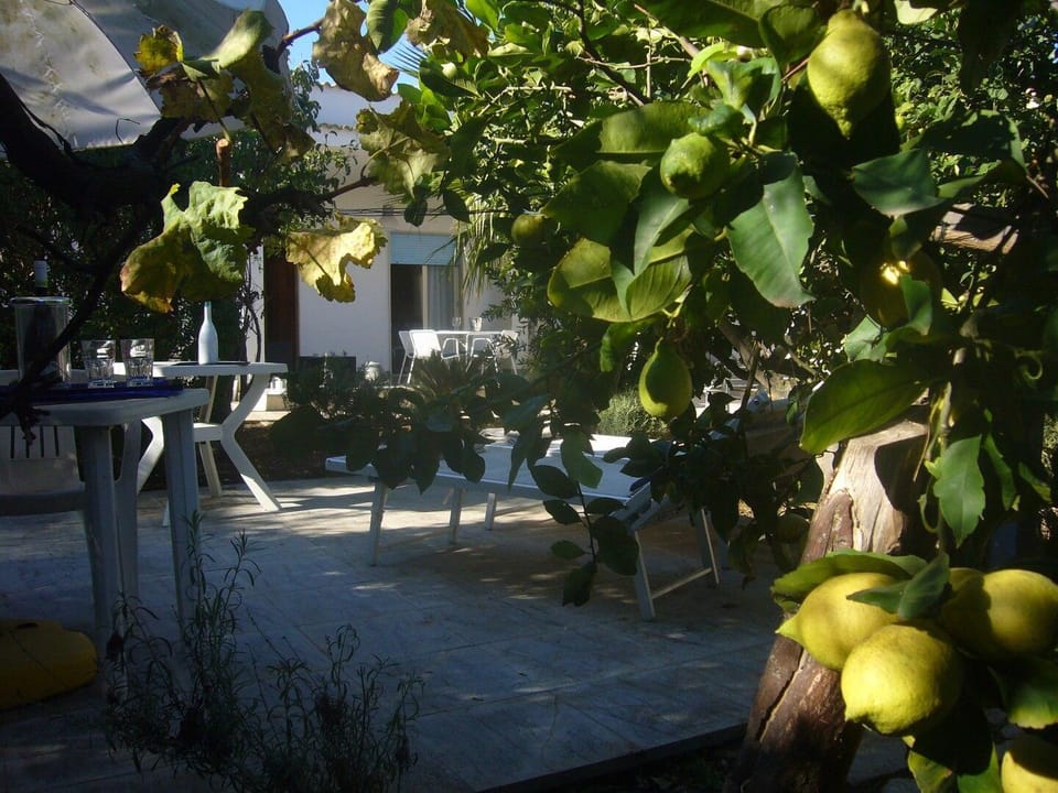Buena Vista Western Sicily Villa in Sicily