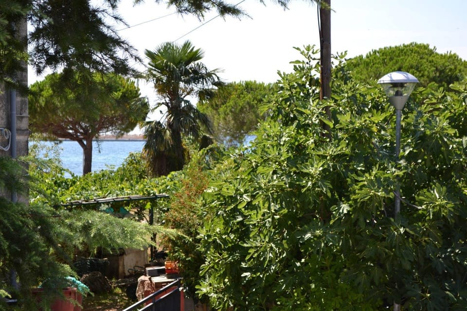 Lovely Eva Rosa studio apartment Apartment in Istria County