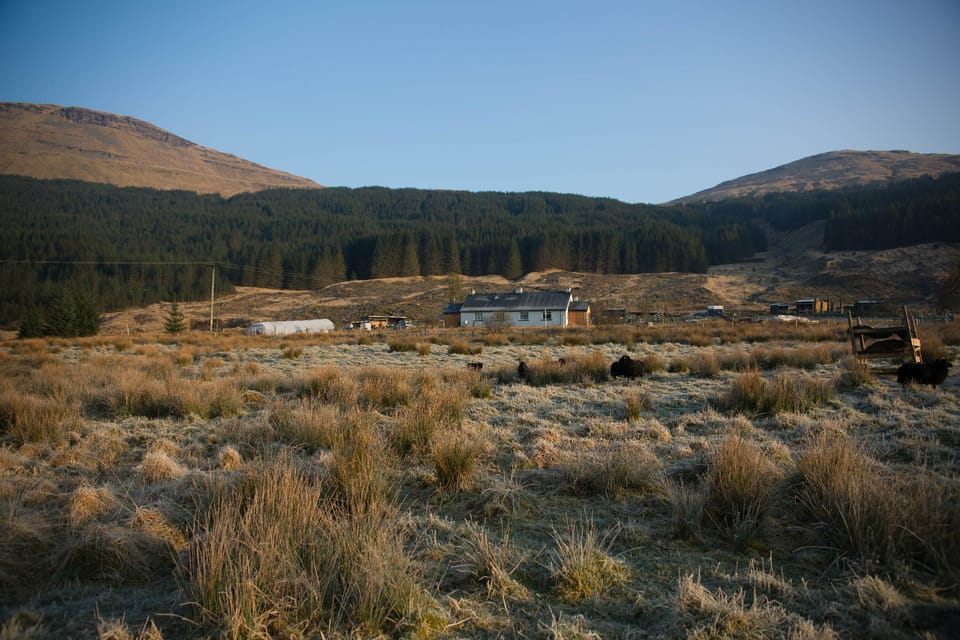 Wee Holiday Cottage by the loch Vacation rental in Scotland