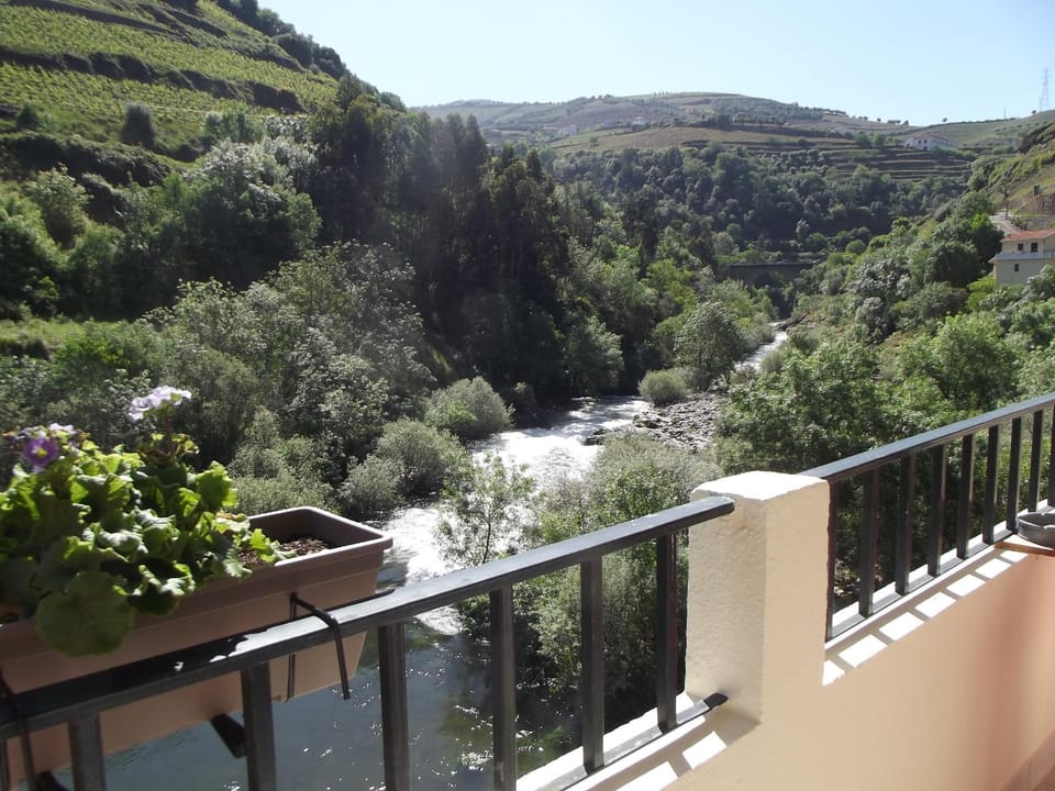 Casa Moinho da Ponte Vacation rental in Vila Real District