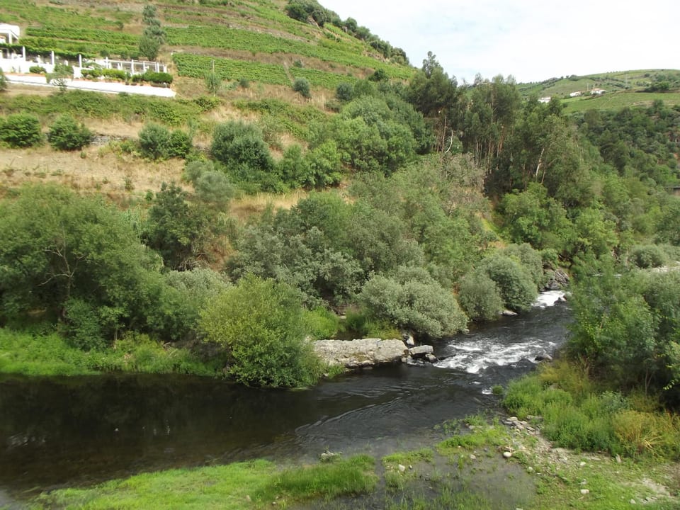 Casa Moinho da Ponte Vacation rental in Vila Real District