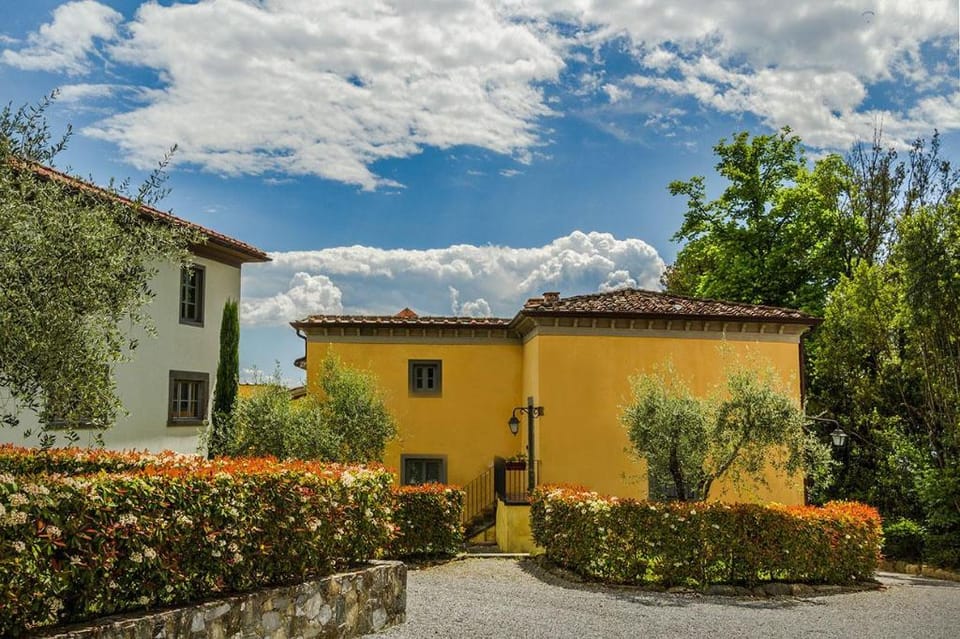 Spectacular Views - Villa Guinigi - Lucca Area Vacation rental in Emilia-Romagna
