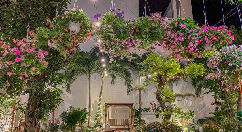 Daisy House Hotel in Vietnam