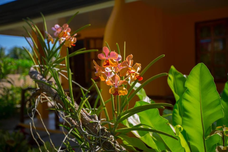 Chekesh Casa Vacation rental in Siquijor